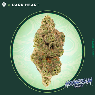 Moonbeam Gelato Grassroots