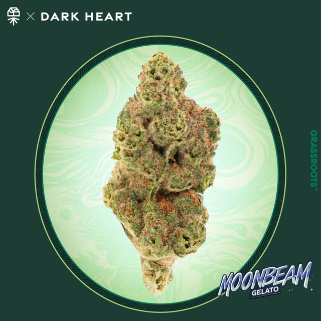 Moonbeam Gelato Grassroots