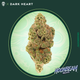 Moonbeam Gelato Grassroots Moonbeam Gelato Grassroots