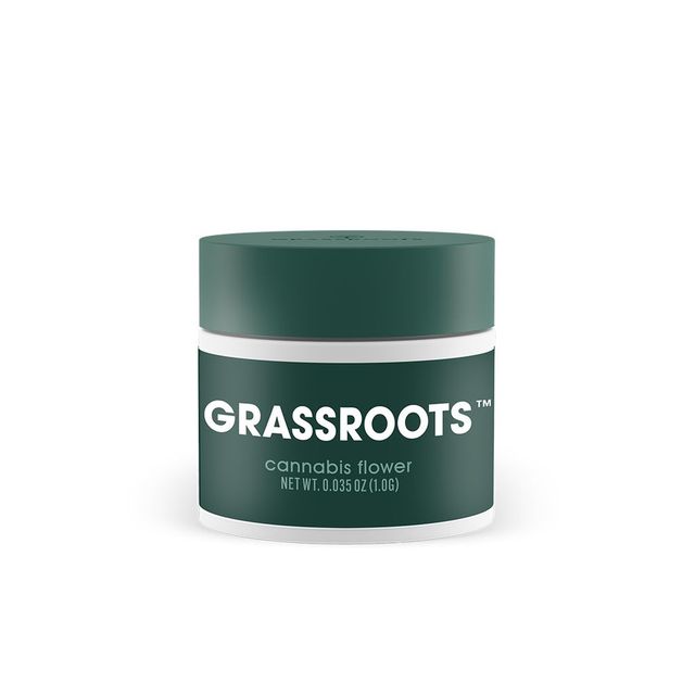 Modified Fuelato Grassroots