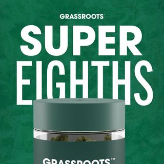 Modified Fuelato Grassroots