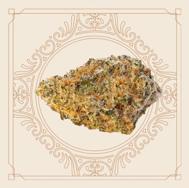 Headband Cookies Elevate
