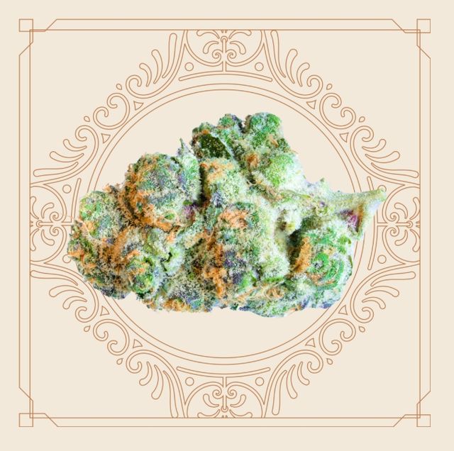 Super Boof Elevate