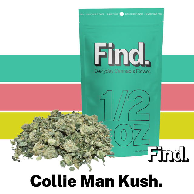 Collie Man Kush Find.