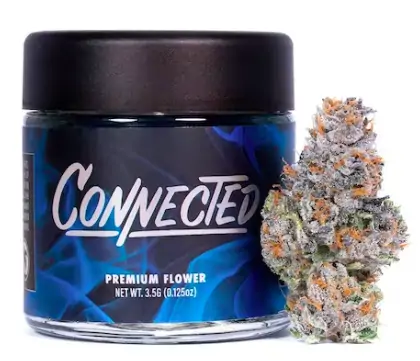 Gelato 41 Connected