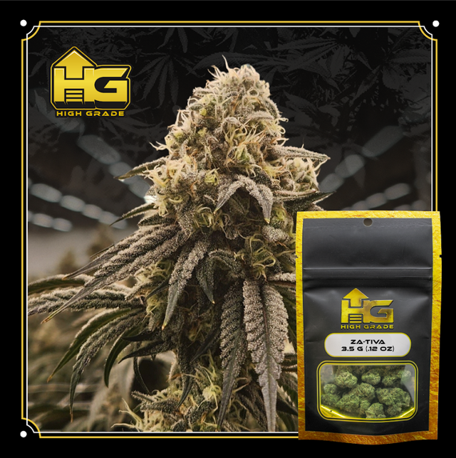 Za-Tiva 3.5g Gold Whole Flower | Curaleaf Phoenix, AZ - 48th