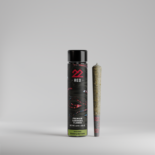 BrainFizz 22Red