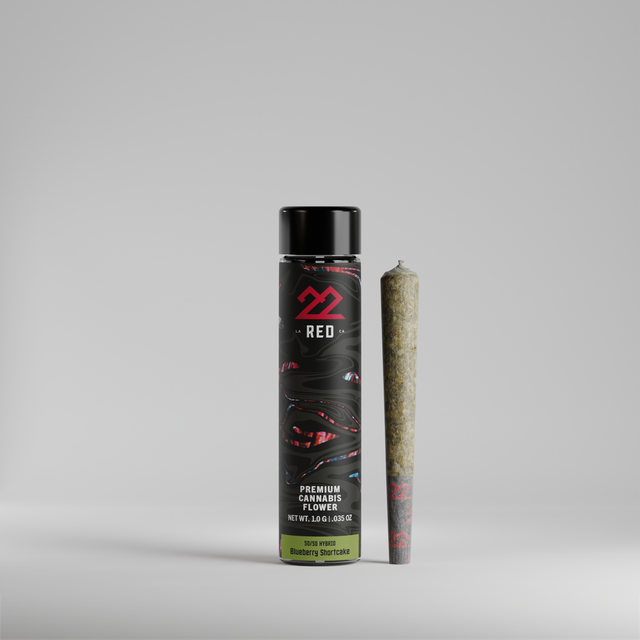 BrainFizz 22Red