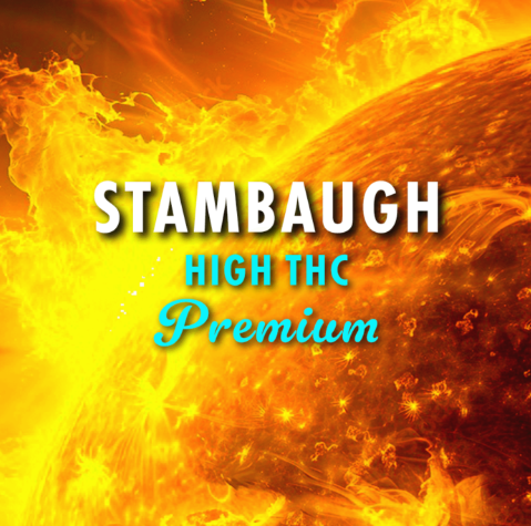 Stambaugh Gc