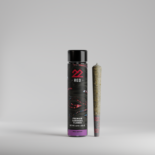 Gelato 41 22Red