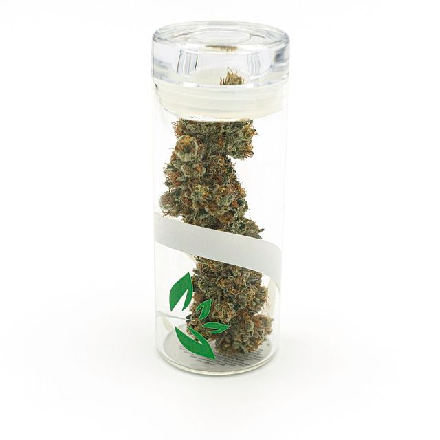 Jenny Kush Abundant Organics