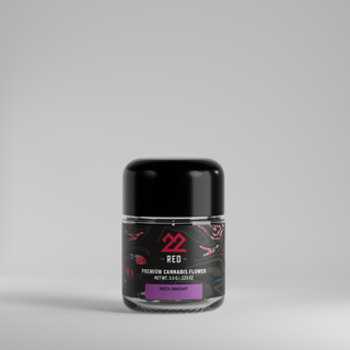 BCC x Jealousy 22Red