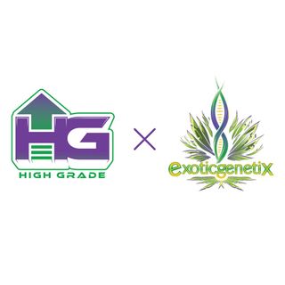 Cannabis Promo, Cannabis Sales, Cannabis Discounts, Cannabis on Sale, 40% OFF HIGH GRADE Products! 1