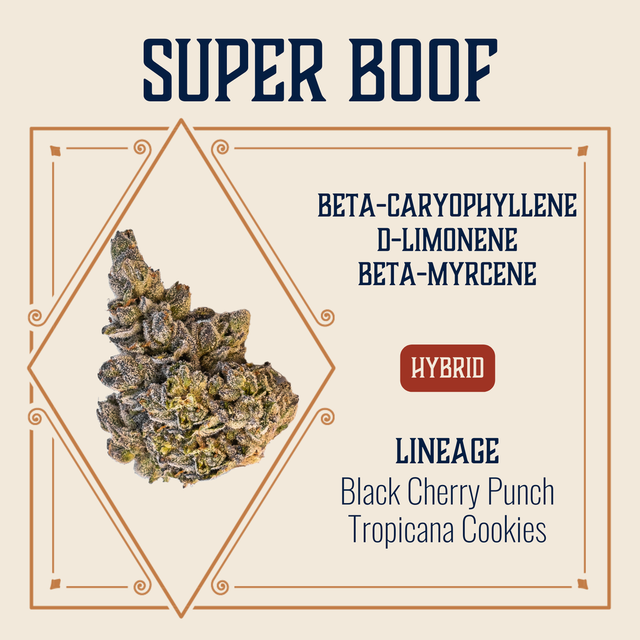 Super Boof Elevate