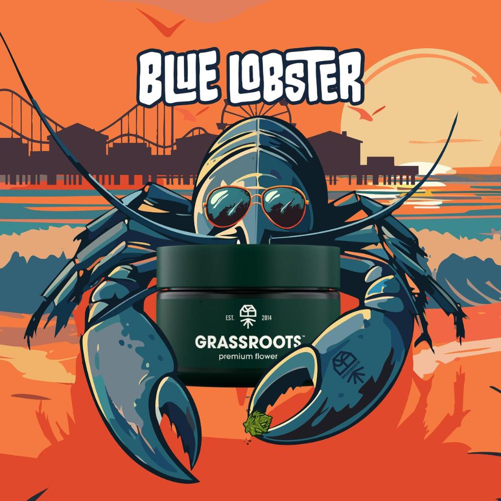 Blue Lobster