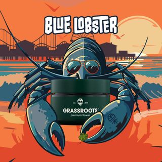 Blue Lobster Grassroots