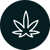 Buy Hemp Products Cannabis