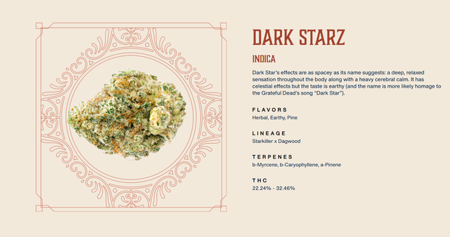 Dark Starz Rooted