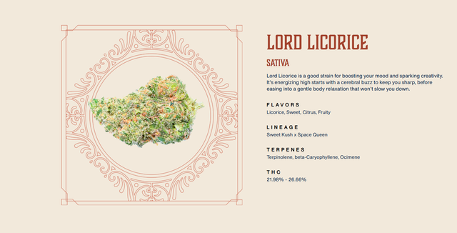 Lord Licorice Rooted