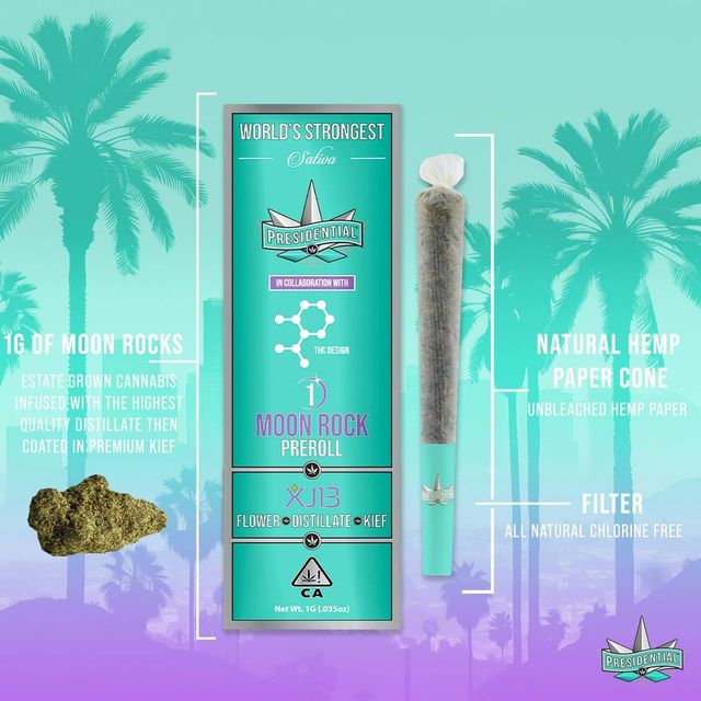XJ-13 Presidential