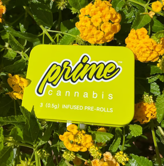 Cannabis Promo, Cannabis Sales, Cannabis Discounts, Cannabis on Sale, 50% OFF Infused Pre-Rolls: GRASSROOTS, POLARIS, & More! 1