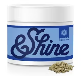 Fruitcake &Shine