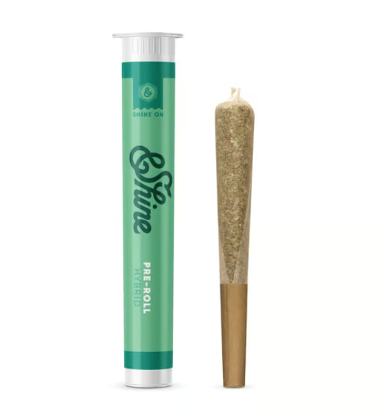 Donut Trip &Shine