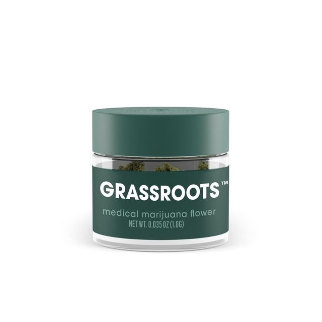 Ocifer 3 (Pawpaw) Grassroots