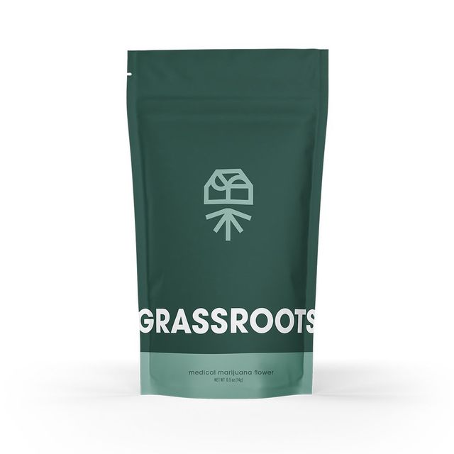 Megan Fox Grassroots