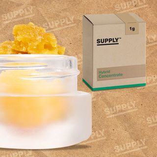 Maltese Orange Ckies Supply