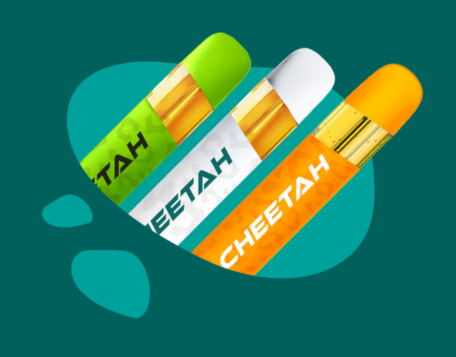 cheetah live resin disposable vape Sweet Cream #2 1g All-in-One | Curaleaf Morton, PA Flavor:FROZEN Blueberry 0mg ThisThat THCa Live Rosin