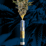 Cannabis Promo, Cannabis Sales, Cannabis Discounts, Cannabis on Sale, Up To 60% Off Last Chance! While Supplies Last! 1