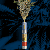 Cannabis Promo, Cannabis Sales, Cannabis Discounts, Cannabis on Sale, Up To 60% Off Last Chance! While Supplies Last! 3