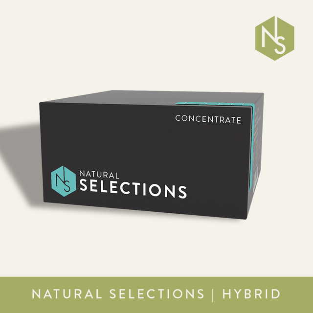 Animal MNTZ x Key Lime Kush Natural Selections