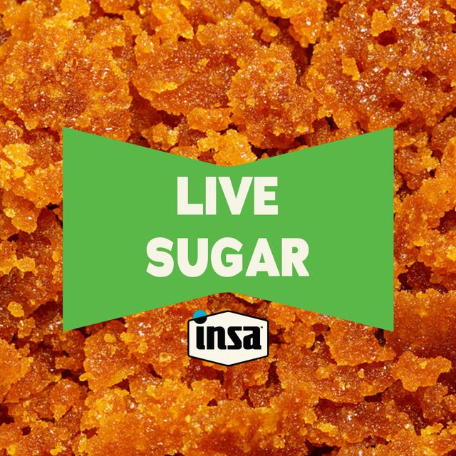 Grape Gasoline INSA