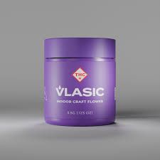 Wilbur's Gelato Vlasic