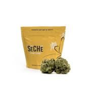 Cannabis Promo, Cannabis Sales, Cannabis Discounts, Cannabis on Sale, ONLY $20 Eighths: HUSTLER'S AMBITION, SAVVY, & More! 3