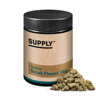 Guava Street Guru Supply