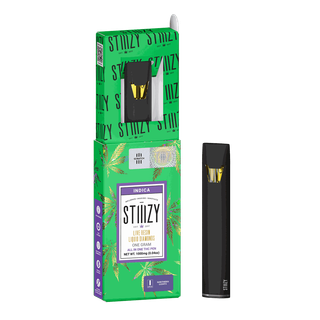 Northern Lights STIIIZY