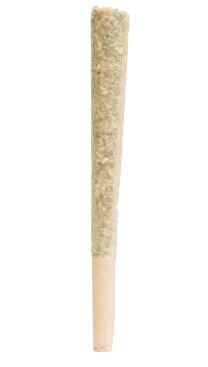 Jenny Kush Jenny Kush