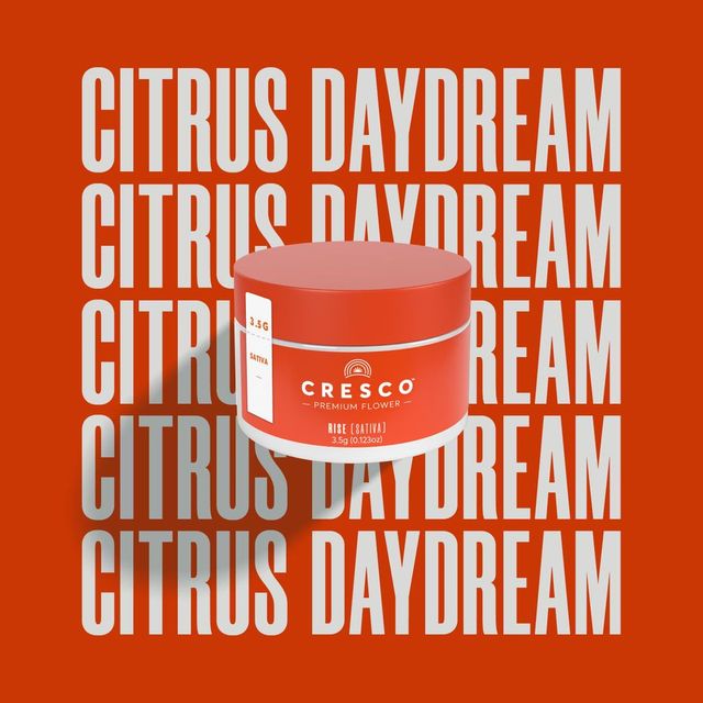 Citrus Daydream Cresco
