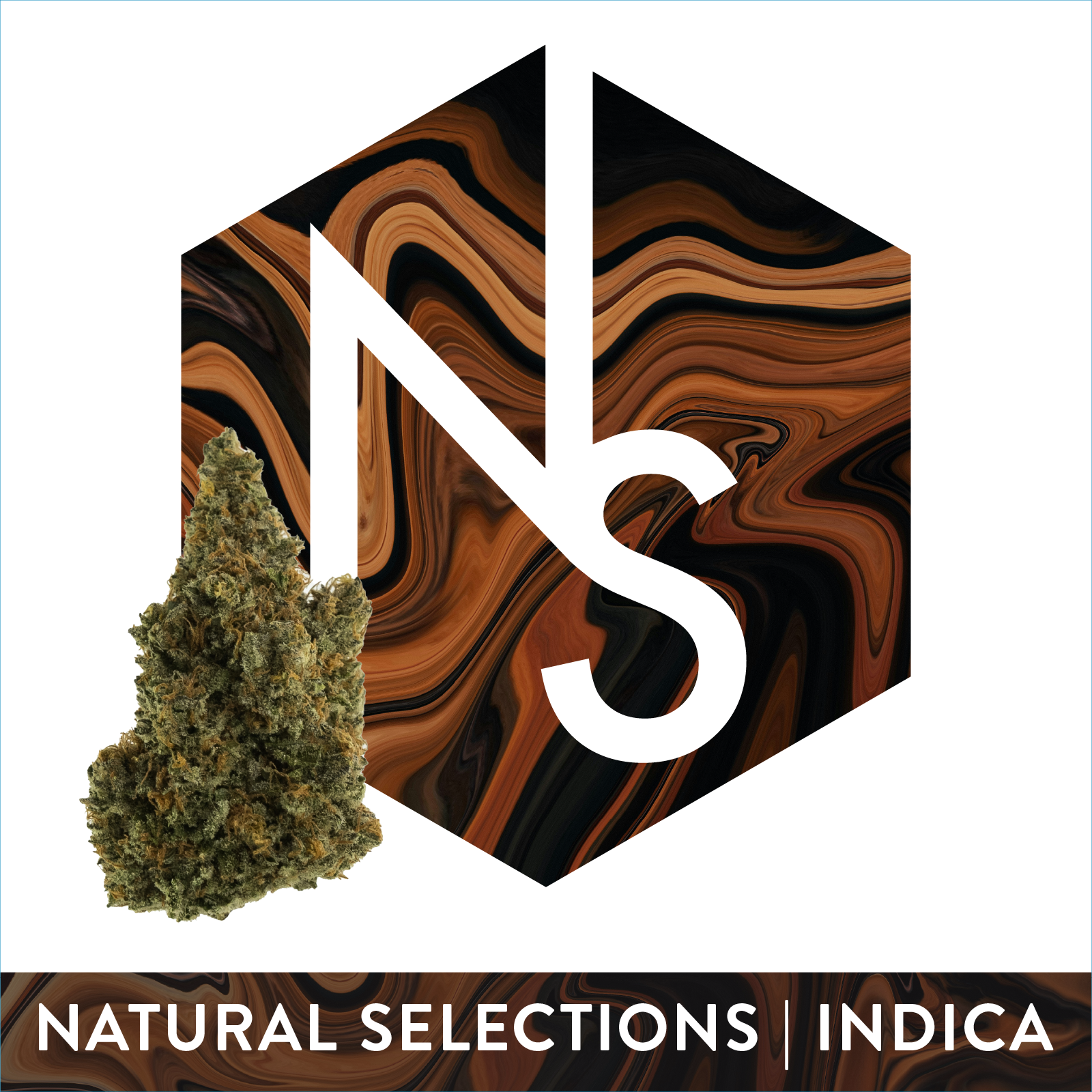Animal Mntz Natural Selections