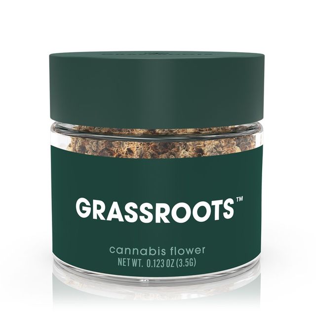 Bolo Grassroots