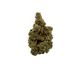 Cap Junky Grassroots Cap Junky Grassroots