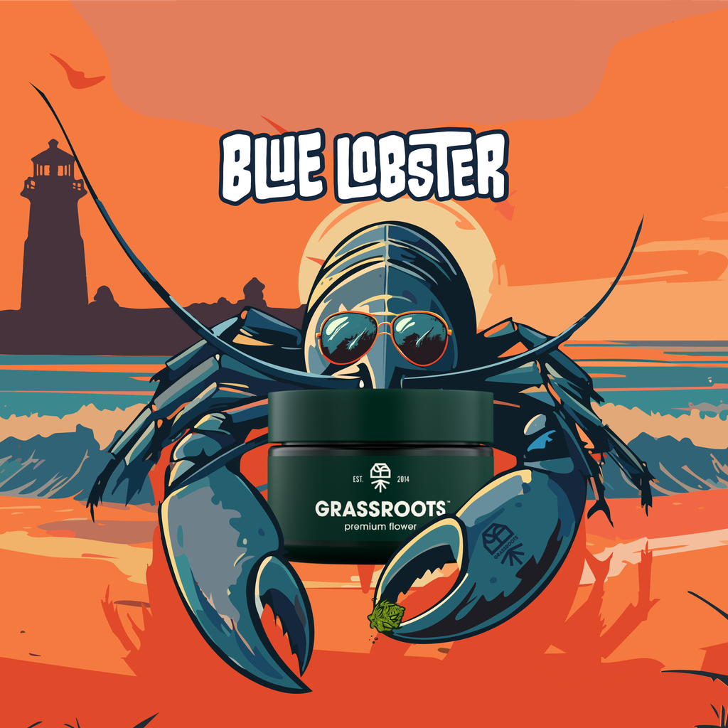 Blue Lobster