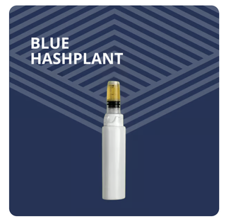 Blue Hashplant Pure Dakota