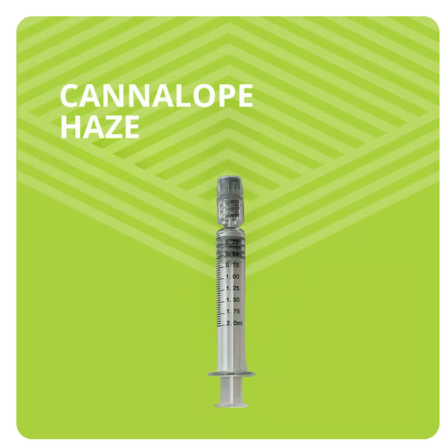 Cannalope Haze Pure Dakota