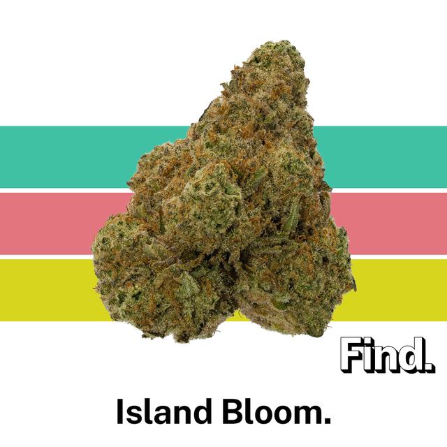 Island Bloom Find.