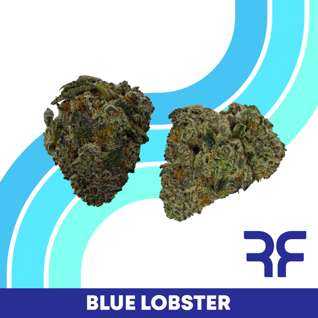 Blue Lobster Reef