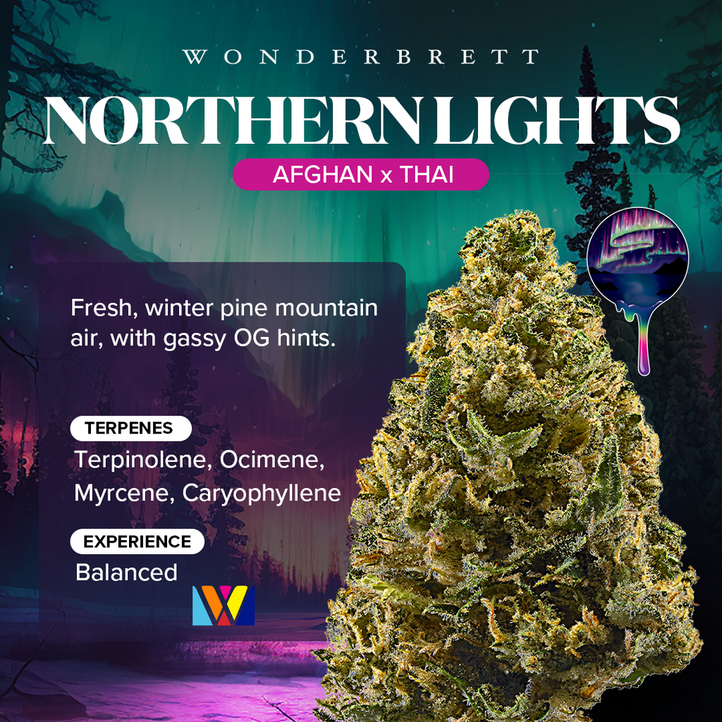 Northern Lights